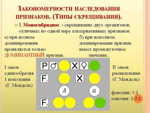 
    Контрольно-обобщающий урок по теме "Закономерности наследования признаков"

      
