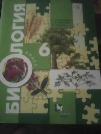 
    Разработка урока по биологии в 6-м классе по учебнику И.Н. Пономаревой, О.А. Корниловой, В.С. Кучменко "Биология растений. Бактерии. Грибы. Лишайники"

      