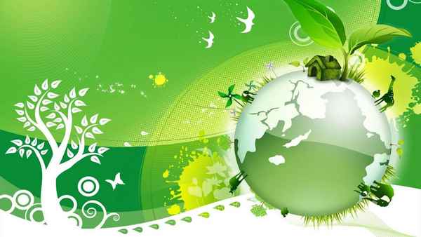 
    Внеклассное мероприятие по биологии. Экологический эрудицион "День Земли"

      