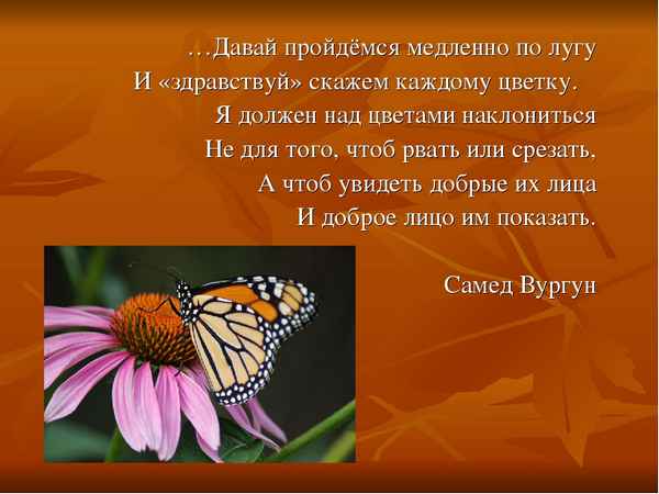 
    Урок-путешествие "Давай пройдемся медленно по лугу"

      