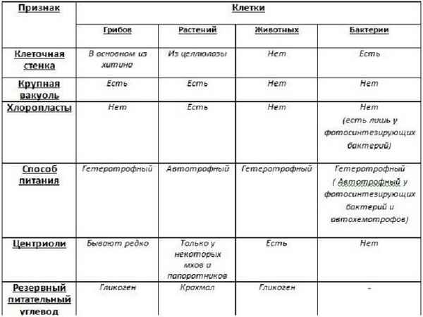 
    Урок "Особенности строения клеток бактерий, грибов, растений, животных"

      