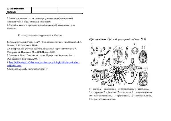 
    Комплекс лабораторных работ по биологии в 10–11-х классах

      