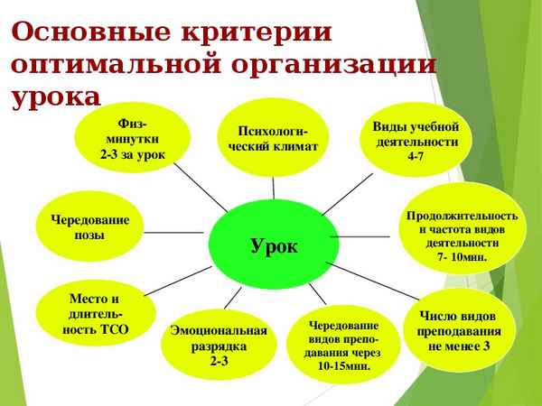 
    Методические подходы к проведению летних пpaктических занятий учащихся по изучению энтомофауны

      