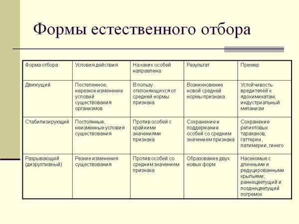 
    Формы естественного отбора

      