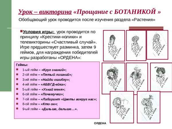 
    Урок-викторина "Прощание с ботаникой"

      