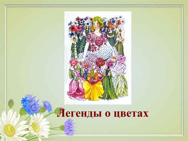 
    Легенды о цветах (иллюстрация биологии и досуга)

      