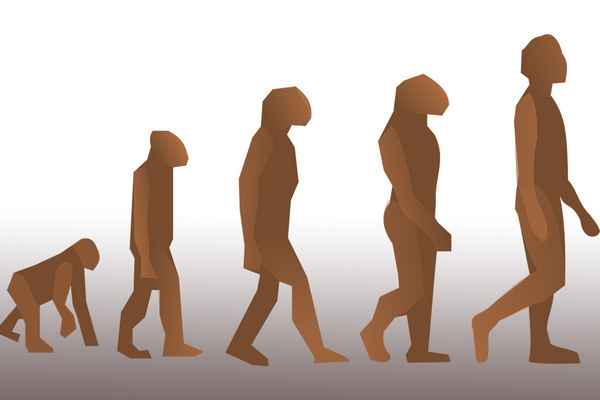 
    По следам эволюции

      