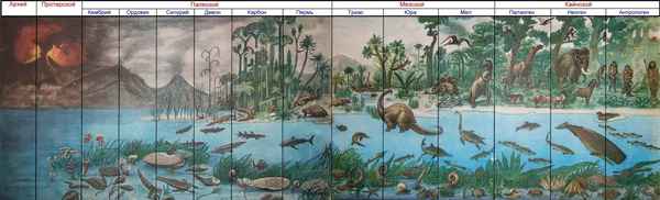 
    Разработка урока по теме "Эволюция живого мира на Земле"

      