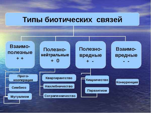 
    Разработка урока в 11-м классе по теме "Биотические связи между организмами"

      