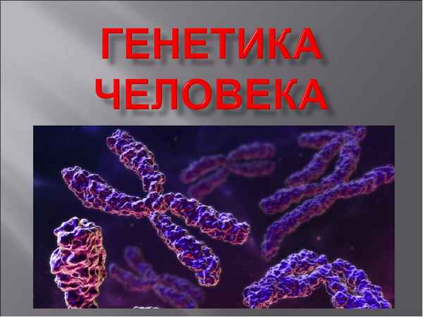 
    Урок "Генетика человека" (в курсе "Общая биология, 10–11-е классы, базовый уровень)

      