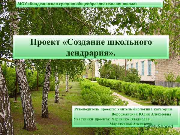 
    Роль школьного дендрария в учебно-воспитательном процессе

      