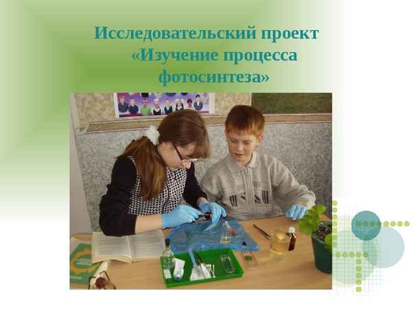 
    Исследовательская деятельность учащихся по биологии

      