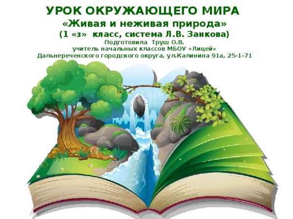 
    Урок по окружающему миру в 4-м классе (система Л.В. Занкова). Тема: "Эпоха открытий и потрясенний. Невидимый мир"

      