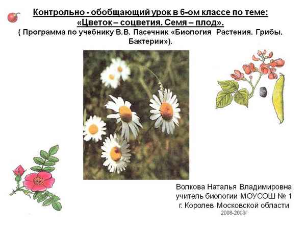 
    Обобщающий урок по теме "Цветок"

      