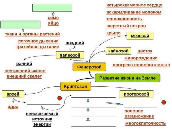
    Урок биологии в 8-м классе "Что такое жизнь", глава "Дыхание"; в 9-м классе глава "Возникновение и развитие жизни на Земле"

      