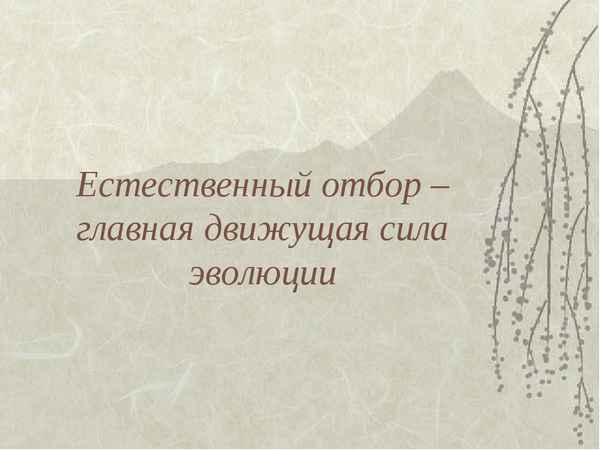 
    Урок-презентация по биологии на тему "Естественный отбор – главная движущая сила эволюции"

      