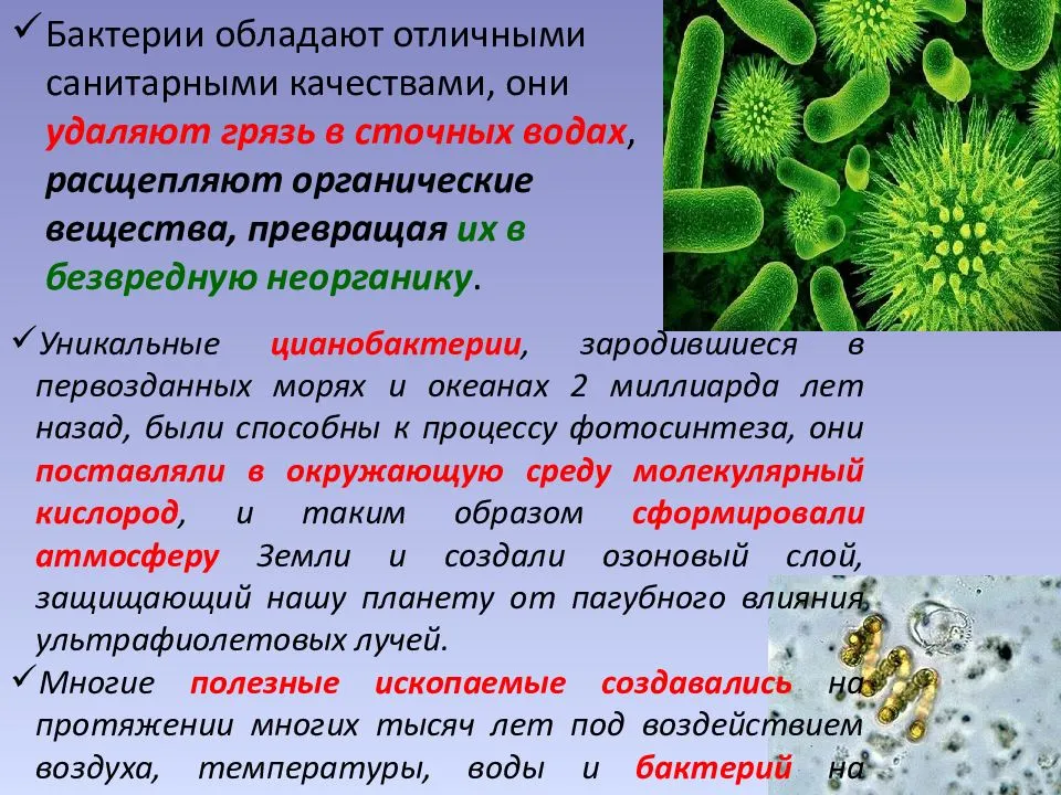 
    Краткое изложение комбинированнго урока по теме "Иммунитет" с пpaктической демонстрацией "Микроорганизмы вокруг нас"

      