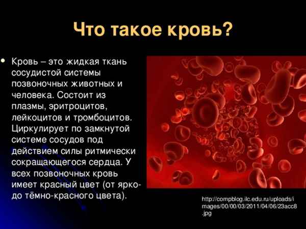 
    Конспект урока по теме "Кровь – река жизни"

      