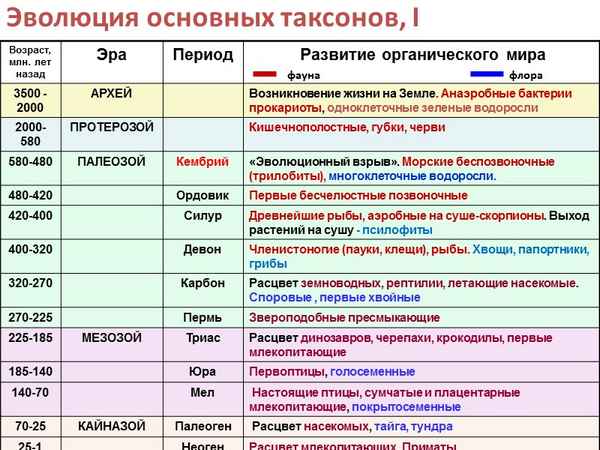 
    Основные этапы развития жизни на Земле

      