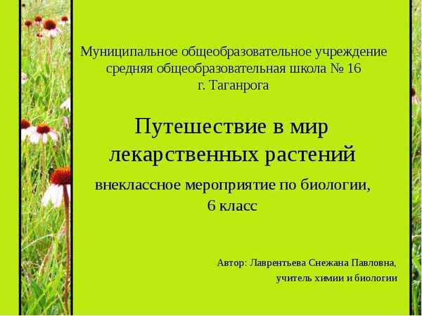 
    Внеклассное мероприятие "Без растений нет жизни"

      