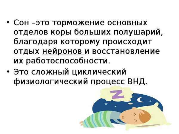 
    Урок на тему: "Сон и бодрствование, как взаимосвязанные процессы ВНД. Предупреждение нарушений сна"

      