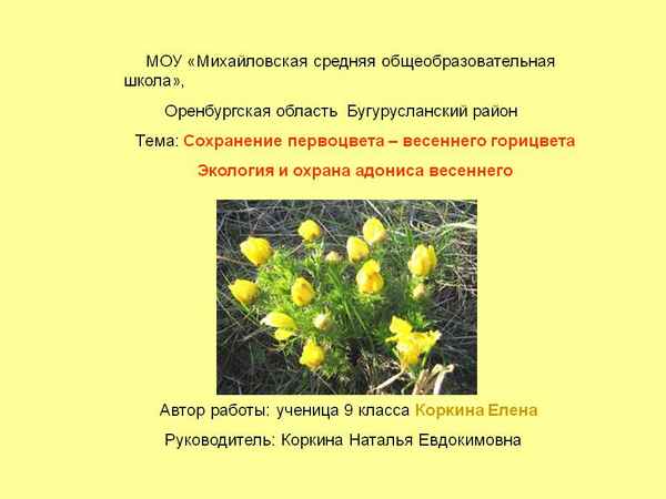 
    Изучение модификационной изменчивости адониса весеннего. Сохранение первоцвета – весеннего горицвета

      