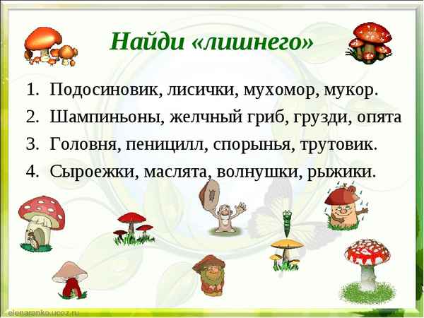 
    Блок уроков по теме "Грибы"

      