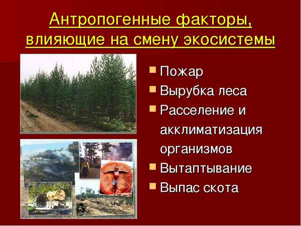 
    Антропогенные факторы воздействия на биогеоценозы

      