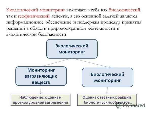 
    Элективный курс "Экологический мониторинг в системе регионального компонента биологического образования"

      