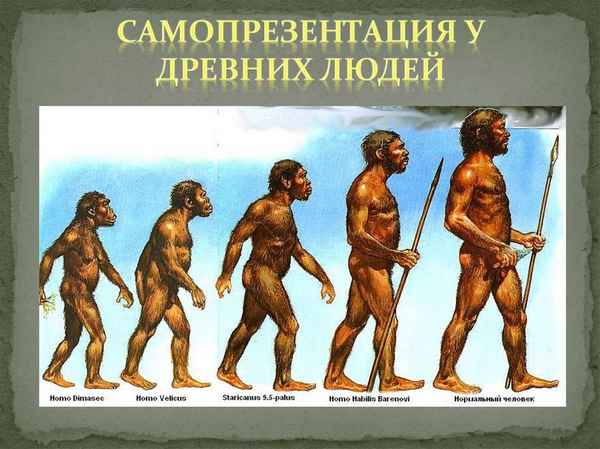 
    Урок "Происхождение человека" (11-й класс)

      