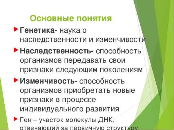 Генетика: история развития, основные понятия и законы генетики
