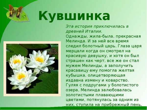 
    Внеклассное мероприятие по биологии "Предания о цветах"

      