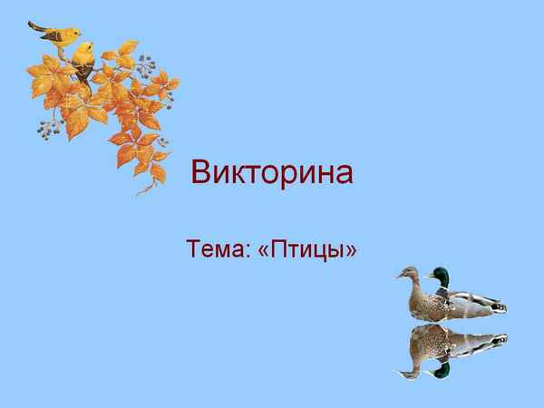 
    Ирок-игра "Поле чудес" по теме "Птицы — наши друзья" Биология (7-й класс)

      