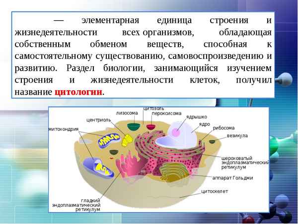 
    Урок обобщения и систематизации знаний по теме "Клеточное строение растительного организма"

      