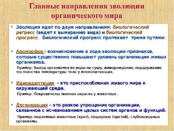 
    Методическая разработка урока биологии в 11-м классе по теме "Главные направления эволюции"

      