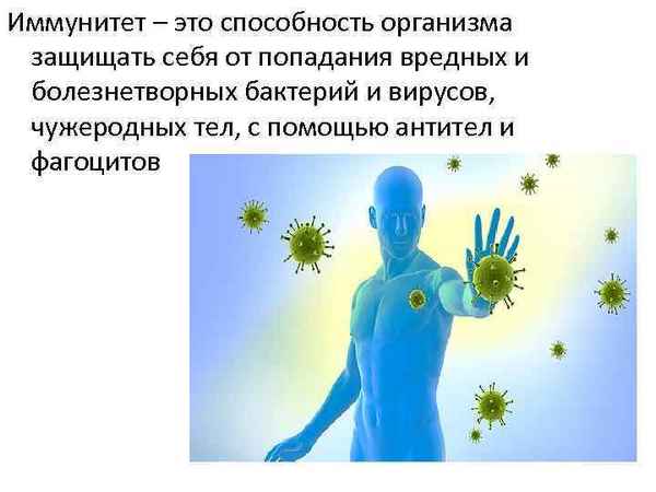 
    Урок биологии по теме "Иммунитет, или Война до полной победы"

      