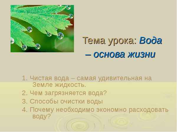 
    Экология на уроках ОБЖ в 5-м классе. Урок на тему "Вода — формула жизни"

      