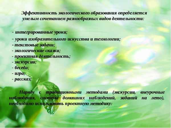 
    Реализация экологического компонента на уроках биологии в 6–8-х классах

      