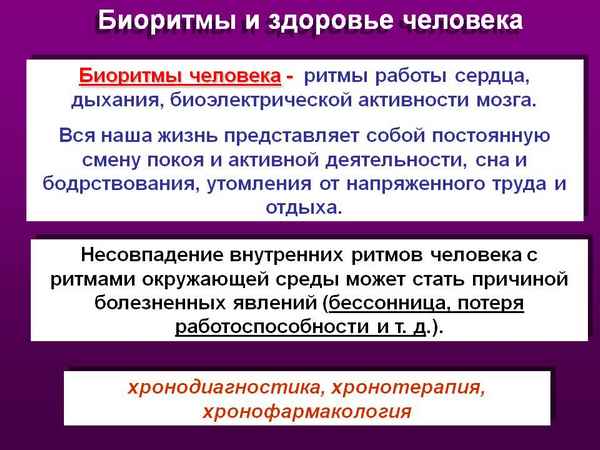 
    Здоровье человека. Биоритмы жизни

      