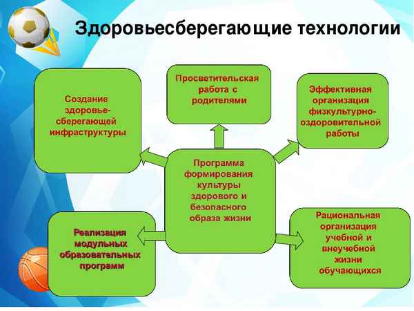 
    Проектный метод на уроках биологии в рамках системы личностно-ориентированного образования и здоровьесберегающих возможностей

      