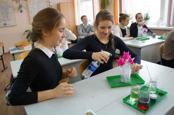 
    Интеллектуальная игра и урок биологии в школе

      