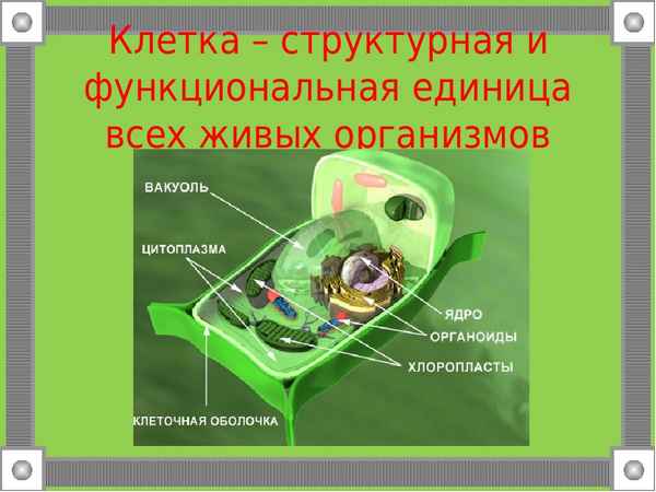 
    Зачётно-обобщающий урок в 10-м классе по теме "Клетка — структурная единица живого"

      