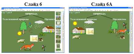 
    Урок природоведения в 5-м классе по теме "Загадки природы"

      