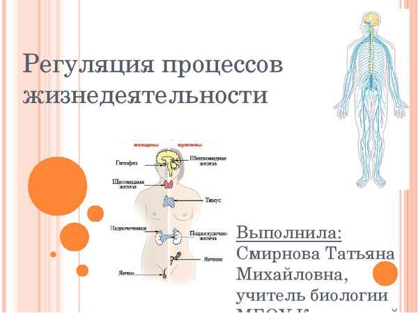 
    Урок биологии в 8-м классе по теме "Регуляция организма"

      