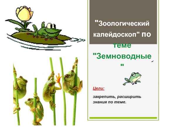 
    Игра "Зоологический калейдоскоп" по теме "Земноводные"

      