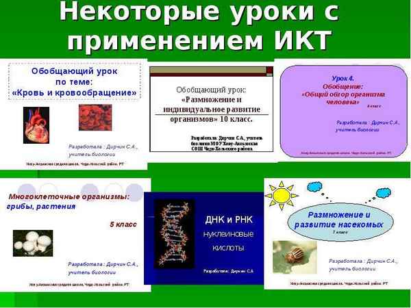 
    Урок с использованием ИКТ по общей биологии "Эволюция" (9-й класс)

      