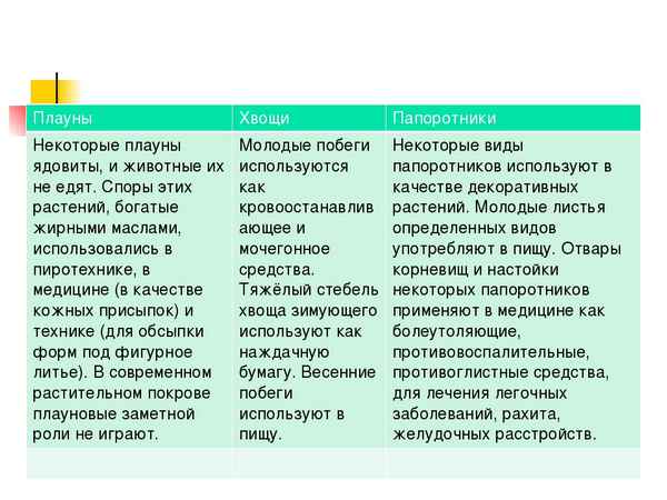 
    Урок биологии в 6-м классе с использованием технологии РКМЧП по теме "Папоротники. Хвощи. Плауны"

      