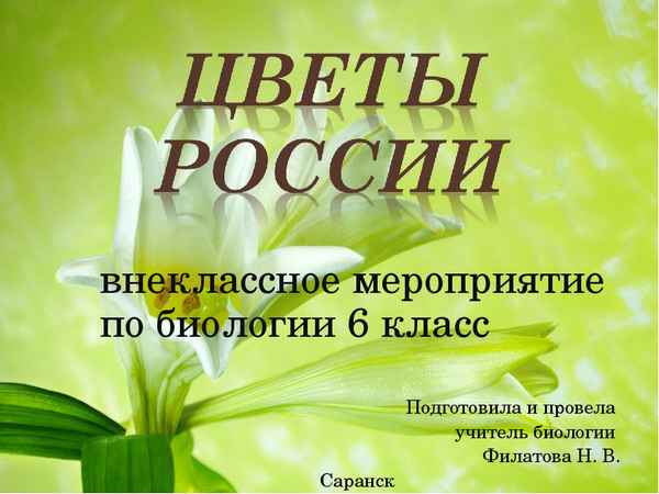 
    Внеклассное мероприятие по биологии

      