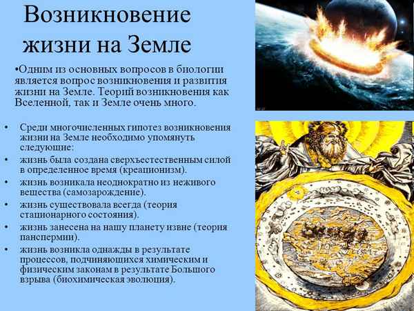 
    Урок-симпозиум на тему "Возникновение жизни на Земле"

      