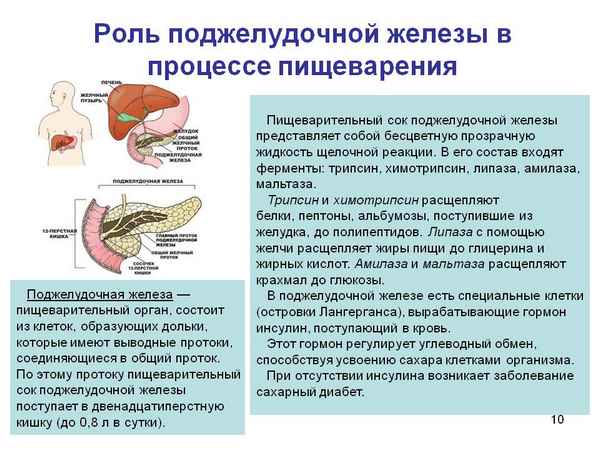 
    Конспект урока по биологии в 8-м классе. Тема: "Роль поджелудочной железы, печени и кишечных желез в пищеварении"

      